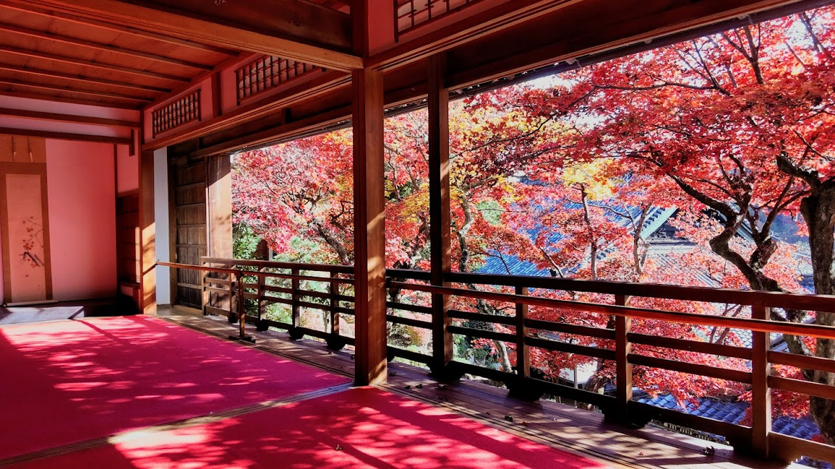 Yokoku-ji (Yanagidani Kannon) Temple | 1+ reviews by local
